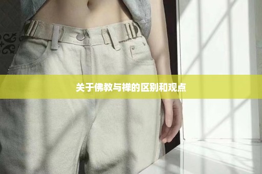 关于佛教与禅的区别和观点