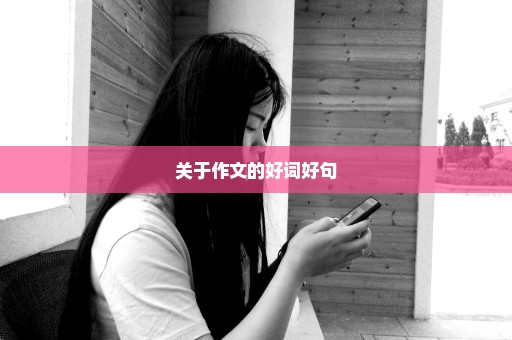关于作文的好词好句