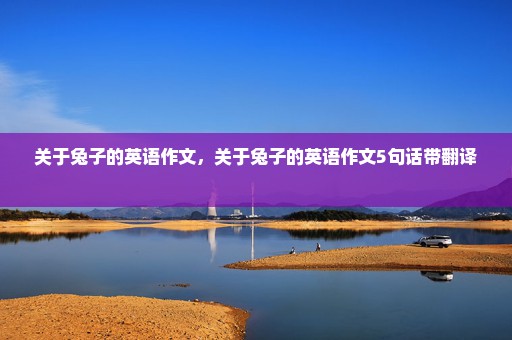 关于兔子的英语作文，关于兔子的英语作文5句话带翻译 