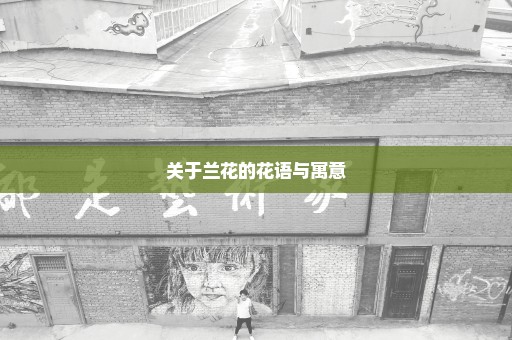 关于兰花的花语与寓意