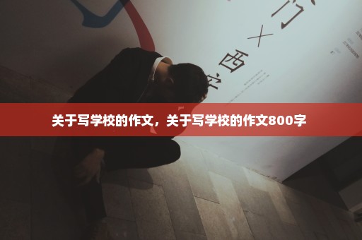 关于写学校的作文，关于写学校的作文800字 