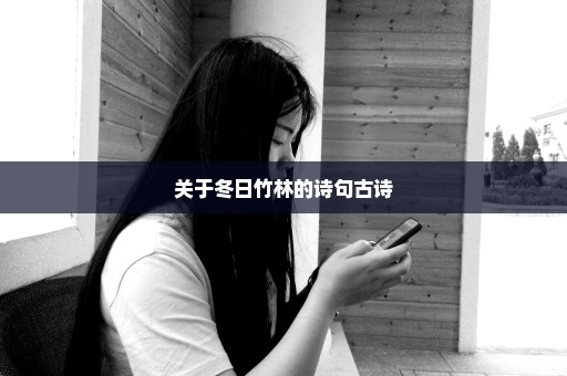 关于冬日竹林的诗句古诗