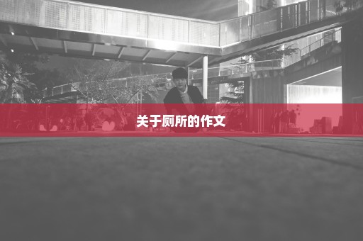 关于厕所的作文