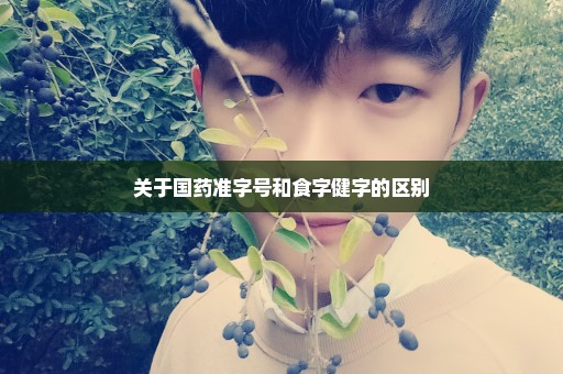 关于国药准字号和食字健字的区别