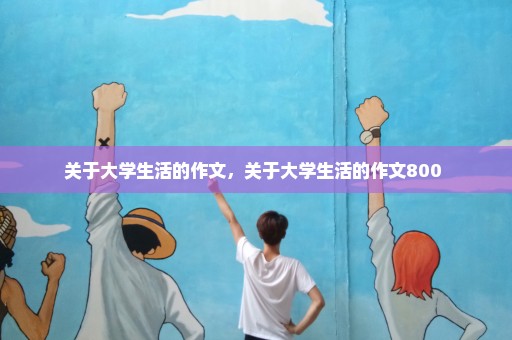 关于大学生活的作文，关于大学生活的作文800 