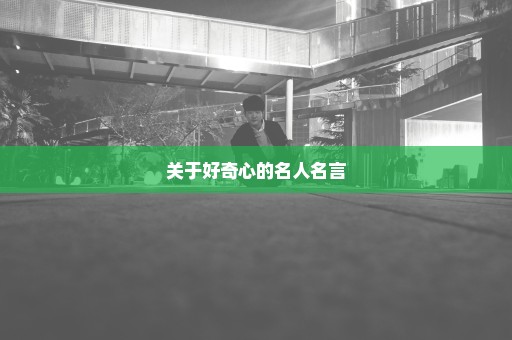 关于好奇心的名人名言