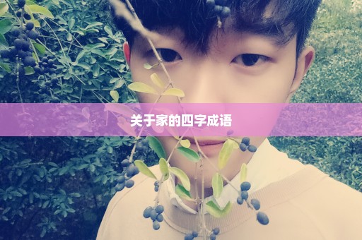 关于家的四字成语