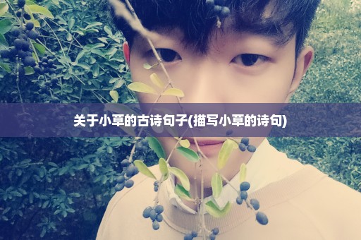 关于小草的古诗句子(描写小草的诗句)