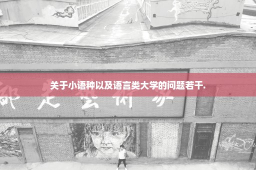 关于小语种以及语言类大学的问题若干.
