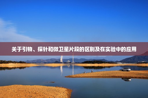 关于引物、探针和微卫星片段的区别及在实验中的应用