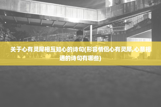 关于心有灵犀相互知心的诗句(形容情侣心有灵犀,心意相通的诗句有哪些)