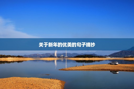 关于新年的优美的句子摘抄