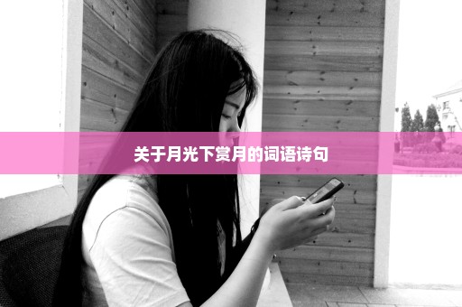 关于月光下赏月的词语诗句