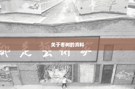 关于枣树的资料