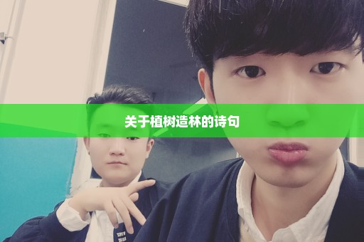 关于植树造林的诗句