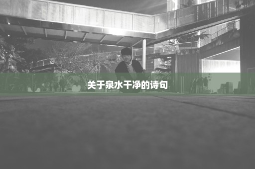 关于泉水干净的诗句