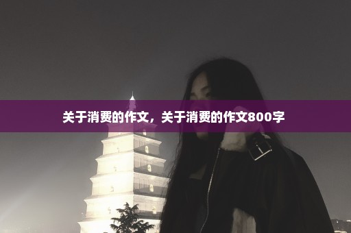 关于消费的作文，关于消费的作文800字 