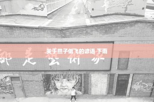 关于燕子低飞的谚语 下雨