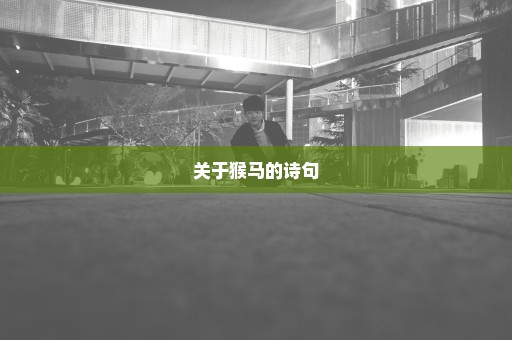 关于猴马的诗句