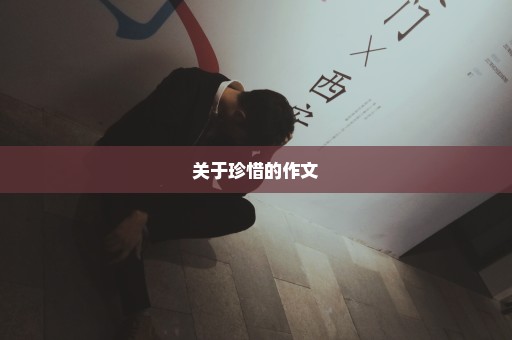 关于珍惜的作文