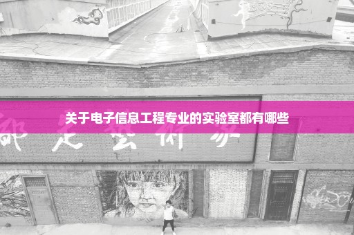 关于电子信息工程专业的实验室都有哪些