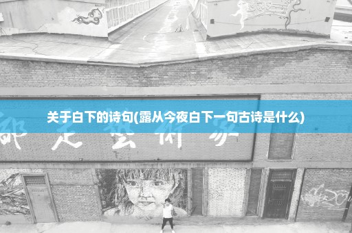 关于白下的诗句(露从今夜白下一句古诗是什么)