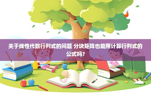关于线性代数行列式的问题 分块矩阵也能用计算行列式的公式吗？