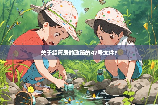 关于经管房的政策的47号文件？