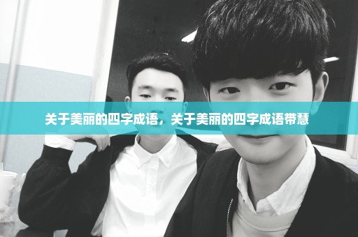 关于美丽的四字成语，关于美丽的四字成语带慧 