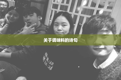 关于调味料的诗句