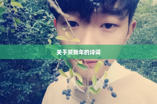 关于贺新年的诗词