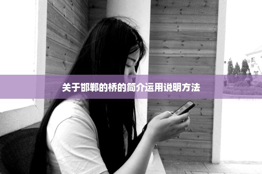 关于邯郸的桥的简介运用说明方法