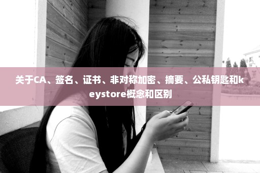 关于CA、签名、证书、非对称加密、摘要、公私钥匙和keystore概念和区别
