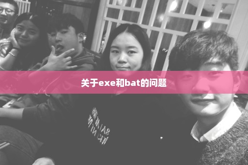 关于exe和bat的问题