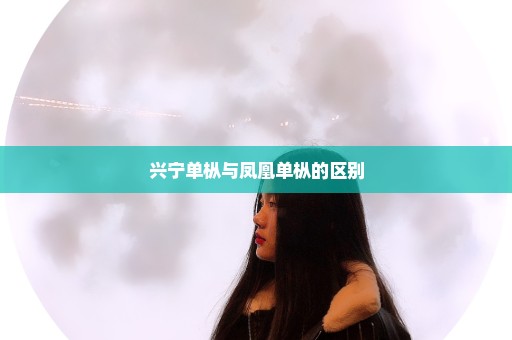 兴宁单枞与凤凰单枞的区别