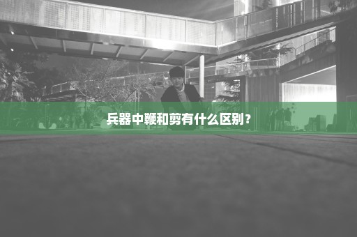 兵器中鞭和剪有什么区别？