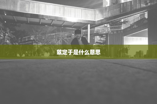 兹定于是什么意思
