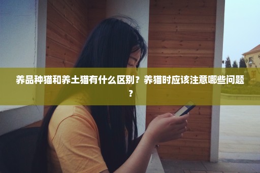 养品种猫和养土猫有什么区别？养猫时应该注意哪些问题？