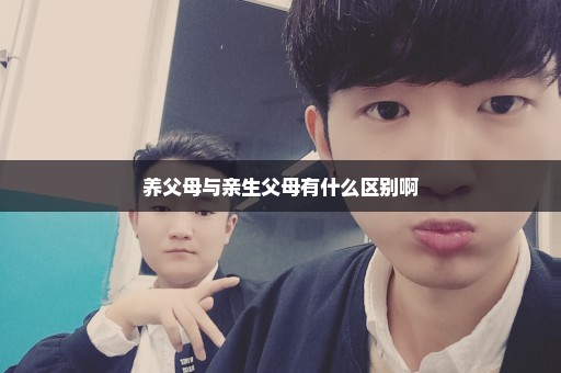 养父母与亲生父母有什么区别啊
