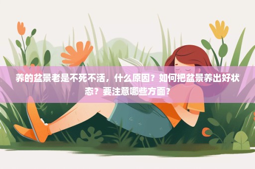 养的盆景老是不死不活，什么原因？如何把盆景养出好状态？要注意哪些方面？