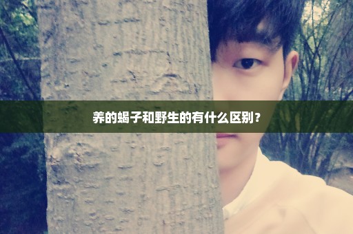 养的蝎子和野生的有什么区别？