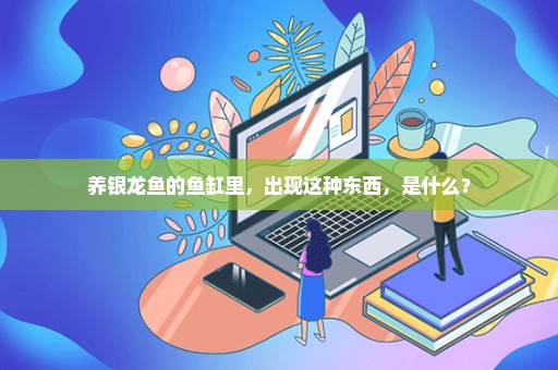 养银龙鱼的鱼缸里，出现这种东西，是什么？