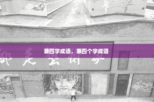 兼四字成语，兼四个字成语 