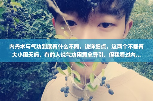 内丹术与气功到底有什么不同，说详细点，这两个不都有大小周天吗，有的人说气功用意念导引，但我看过内...