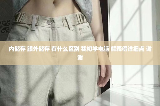 内储存 跟外储存 有什么区别 我初学电脑 解释得详细点 谢谢