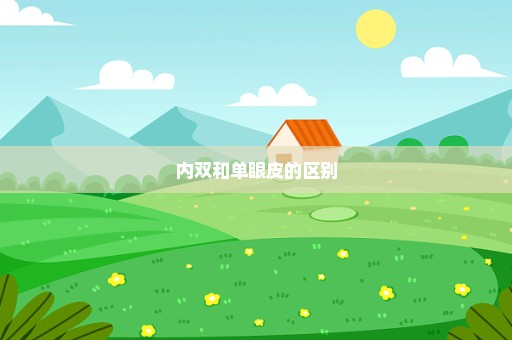 内双和单眼皮的区别