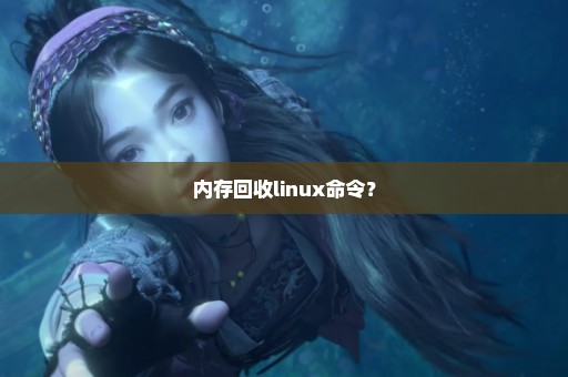 内存回收linux命令？