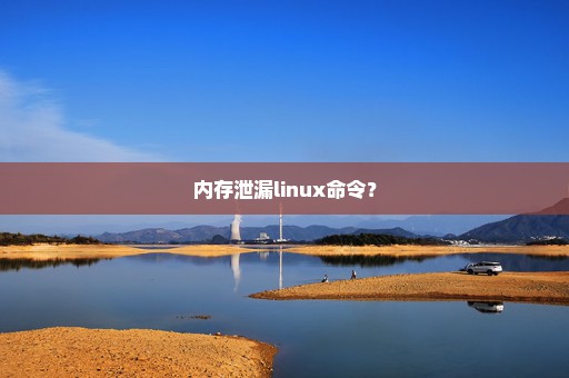 内存泄漏linux命令？
