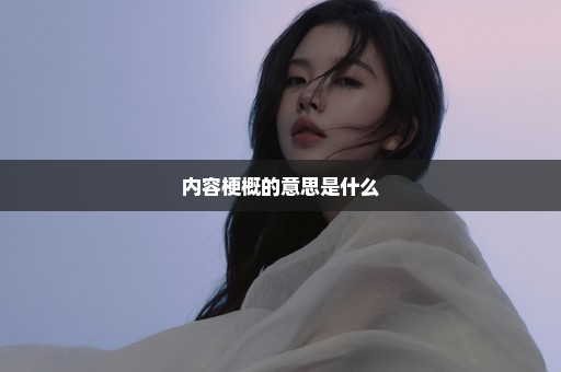 内容梗概的意思是什么