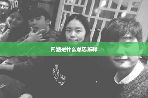 内涵是什么意思解释